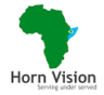 HornVision