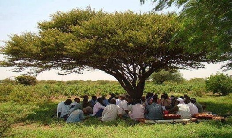 Conflict Resolution & Peace Building